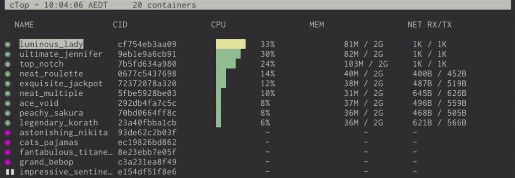 ctop basic